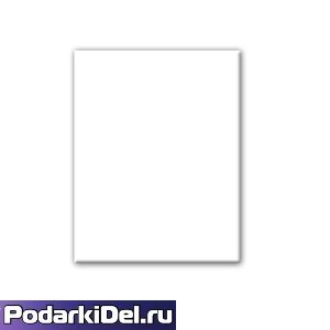 Плитка керамическая  ПРЯМОУГОЛЬНИК (20,2х25,2см.)  