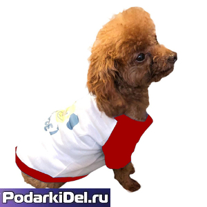Кофта для собак КРАСНАЯ Кофта для собак КРАСНАЯ