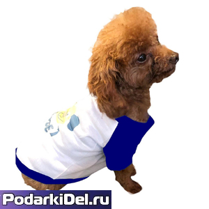 Кофта для собак СИНЯЯ Кофта для собак СИНЯЯ