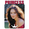 Магнит металл Princess