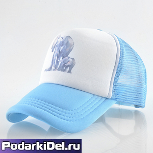 Бейсболка trucker под СУБЛИМАЦИЯ (сетка)