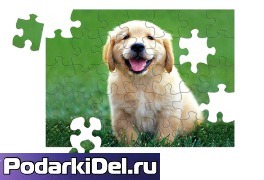 Пазл магнитный для сублимации  А5 (13х18см) 63элемента
