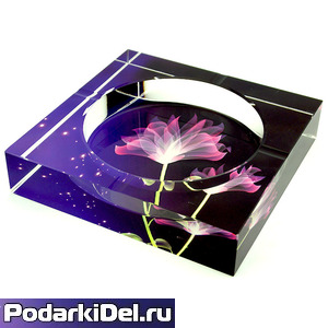 Фотокристалл ПЕПЕЛЬНИЦА (100х100х30mm) Фотокристалл ПЕПЕЛЬНИЦА (100х100х30mm)
