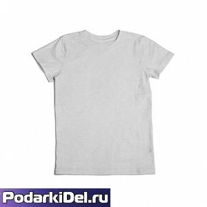 Футболка детская 2-х сл. EVOLUTION (серая) Футболка детская 2-х сл. EVOLUTION (серая)